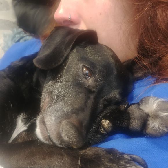 Meet your Posher, Brenda - Picture 1 of 1